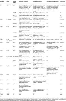Glial Dysfunction and Its Contribution to the Pathogenesis of the Neuronal Ceroid Lipofuscinoses